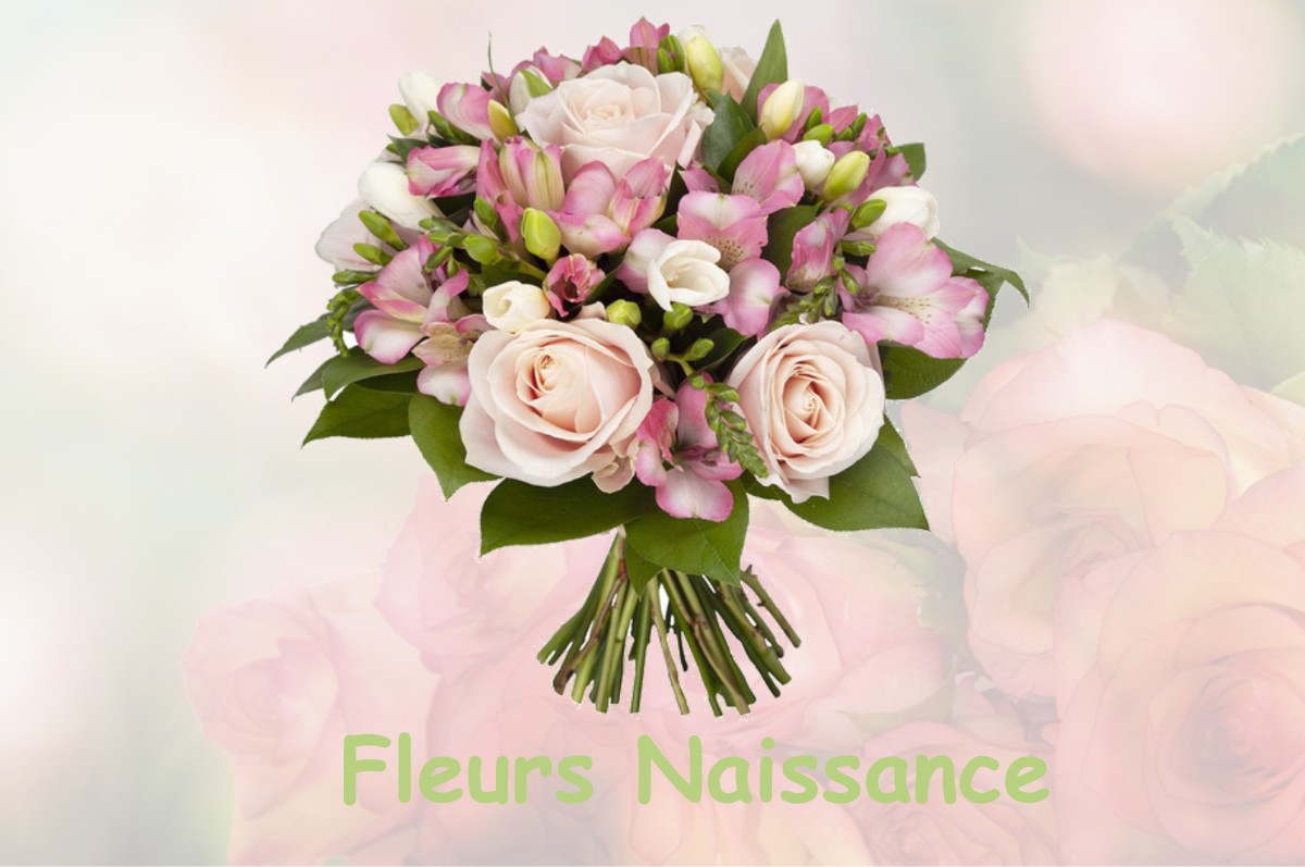 fleurs naissance PEINTRE