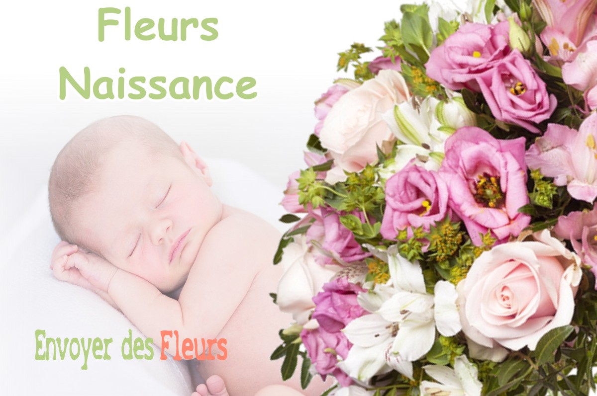 lIVRAISON FLEURS NAISSANCE à PEINTRE