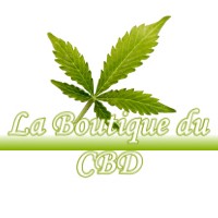 LA BOUTIQUE DU CBD PEINTRE 